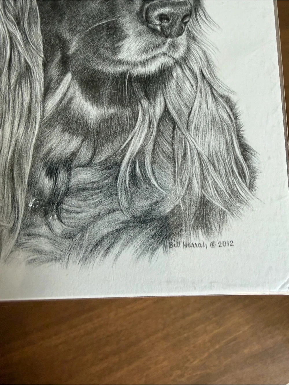 Irish Setter Dog Note Cards (8) Fine Art Drawing